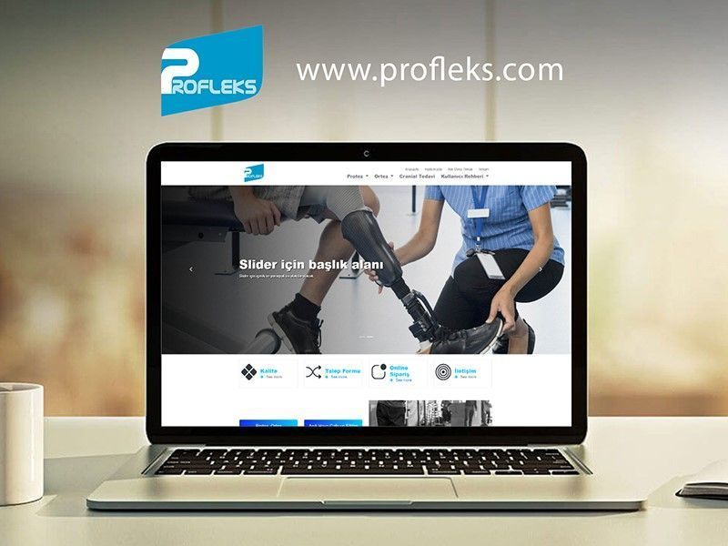 Profleks Kurumsal Web Sitesi 